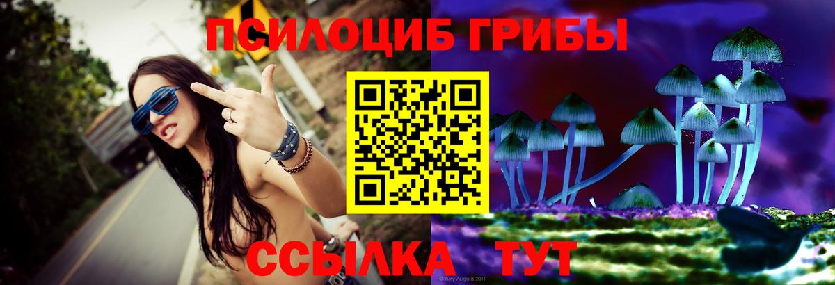 Тимашёвск  Псилоцибиновые грибы прущие грибы  Вход с VPN 