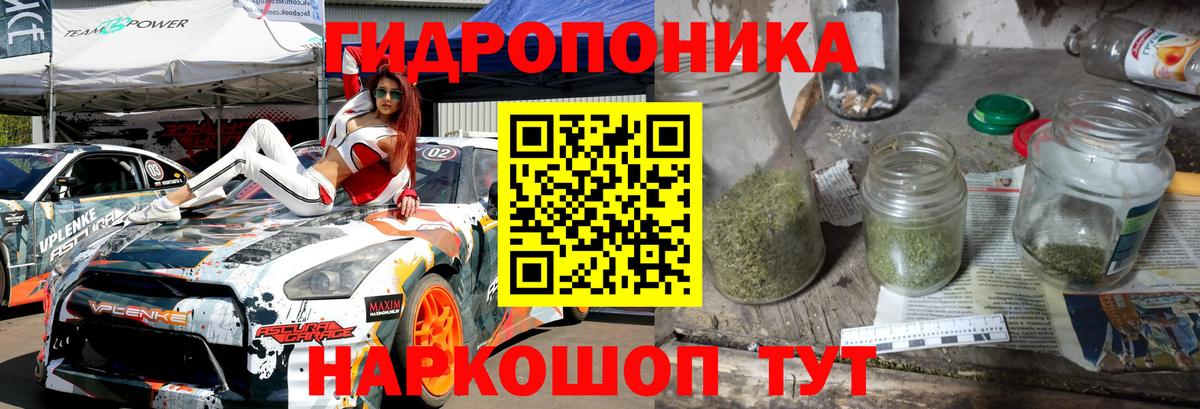 Каннабис индика Тимашёвск